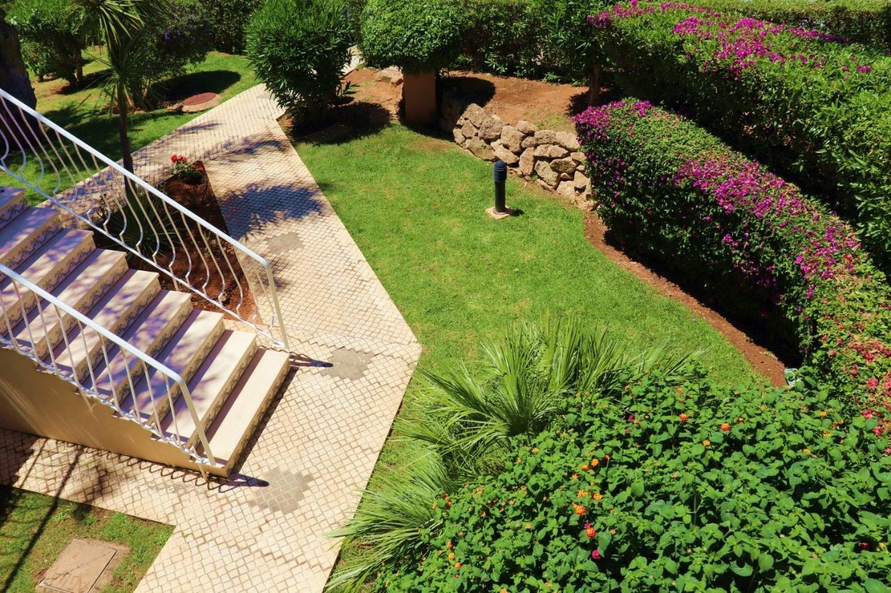 Oasis Park Al *